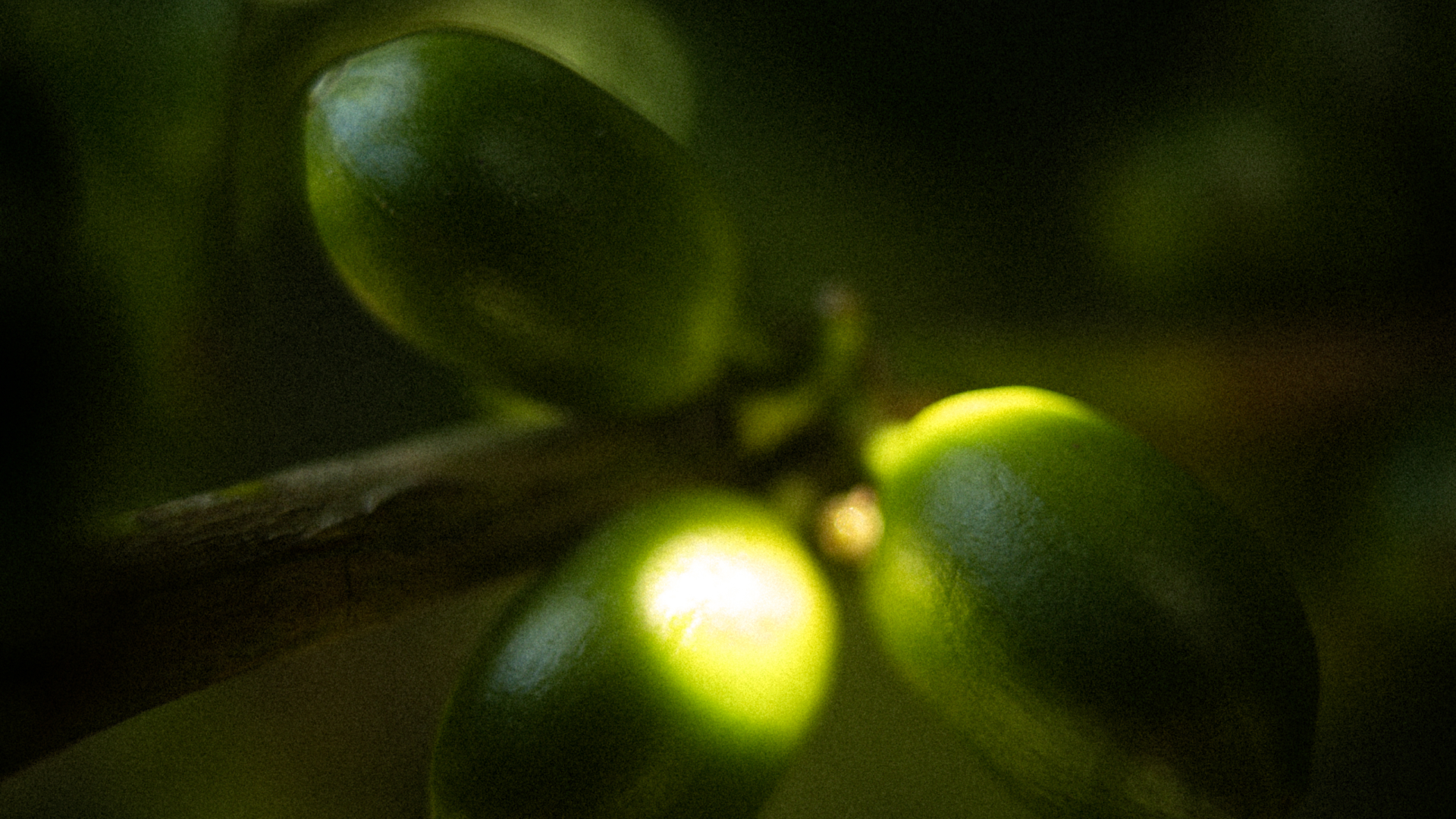 Dissertation on Potassium Experiment