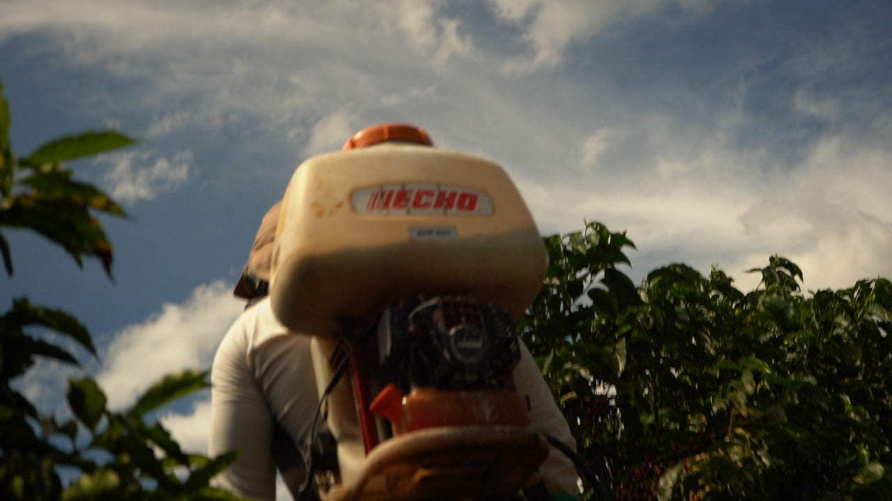 Spray Deposition Quality in Coffee Production