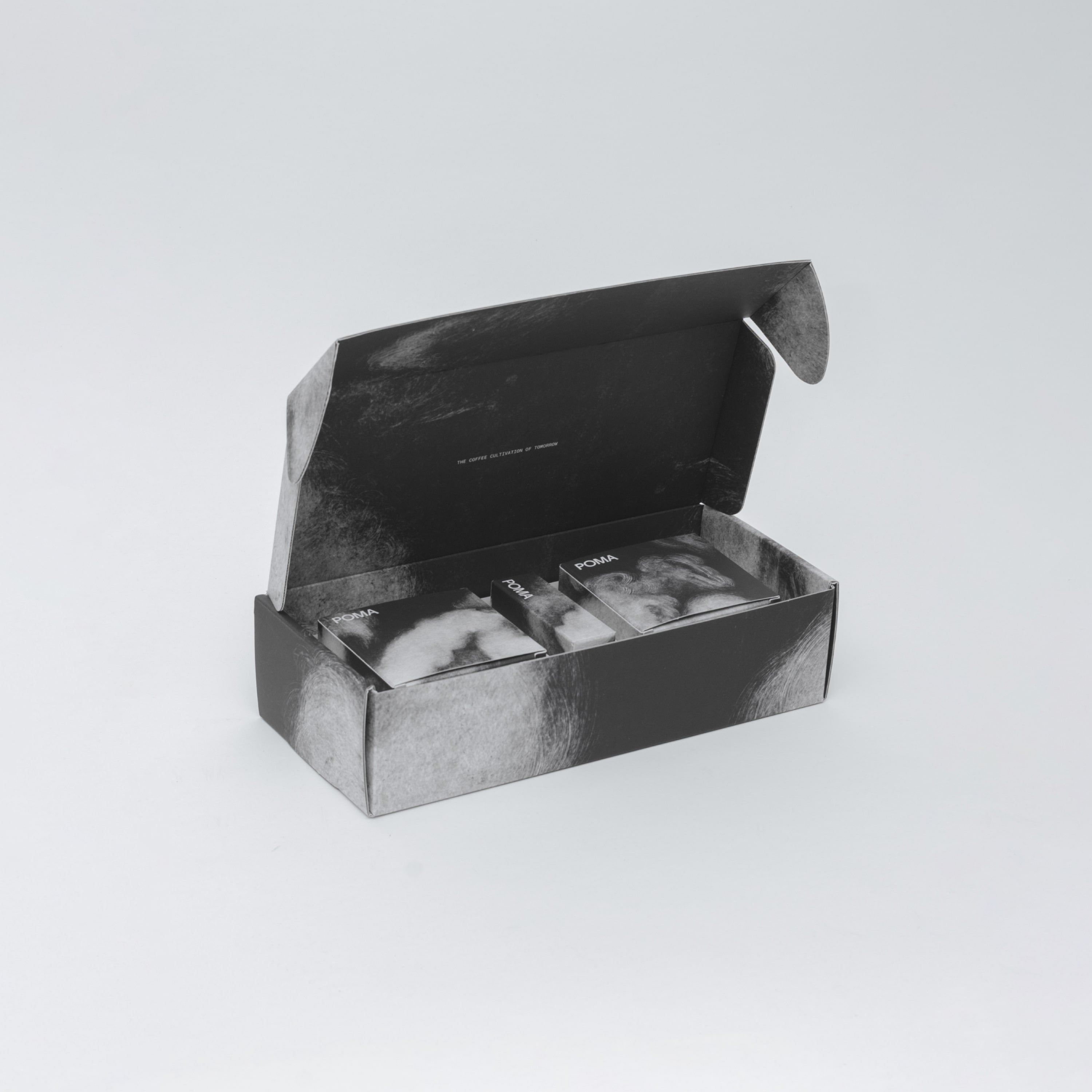 Finca Soledad Washed Typica Mejorado