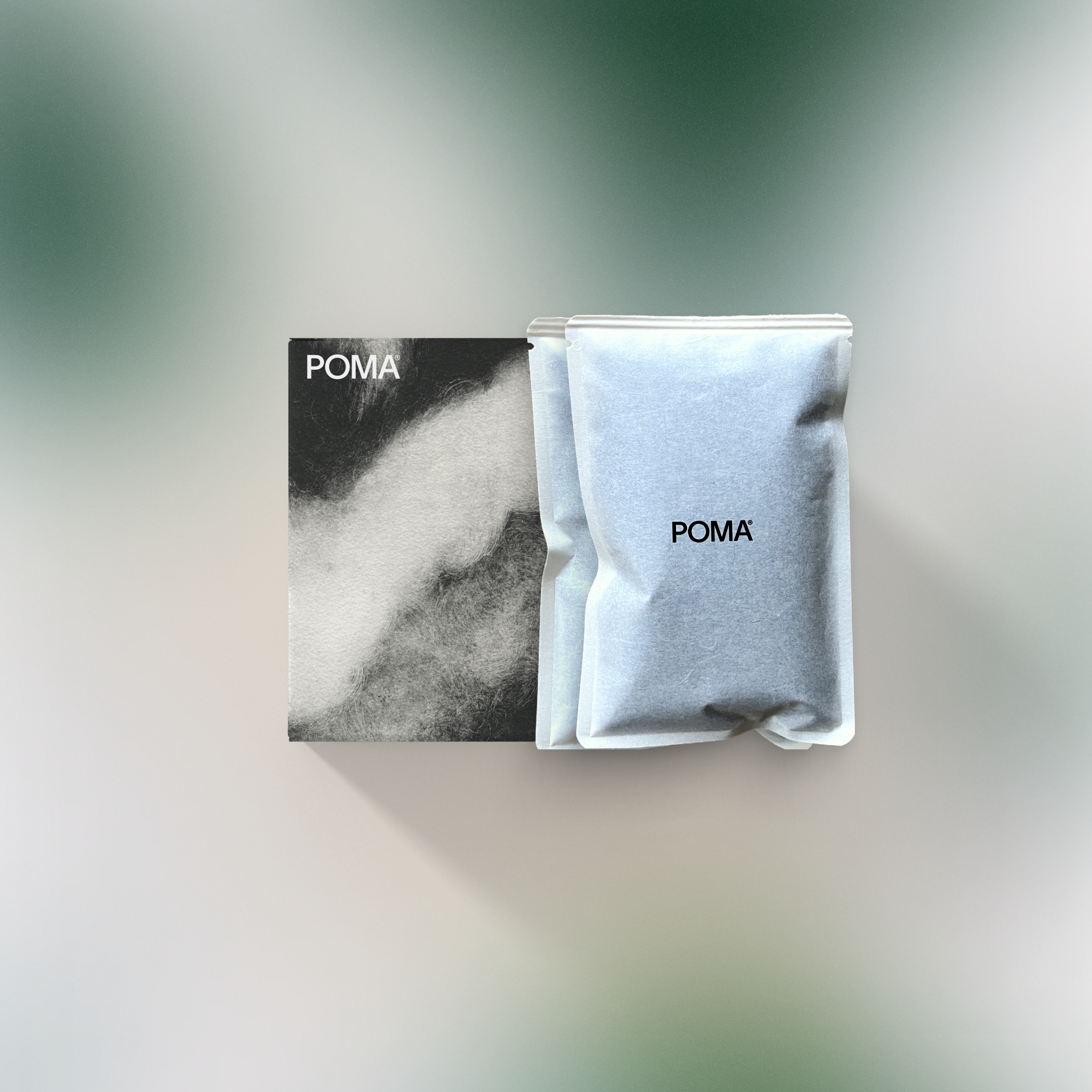 Sequential Inoculation Experiment (Flora & Gesha)